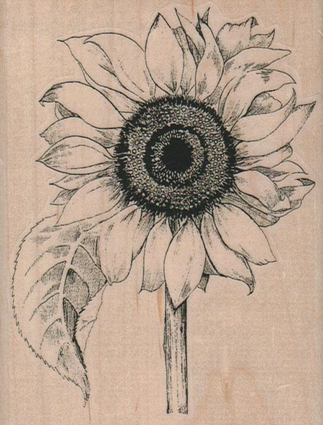 Leafy Sunflower (Large) 3 1/4 x 4 1/4