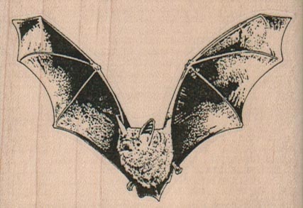 Bat Comin’ At Ya 3 x 2