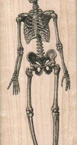 Skeleton 1 3/4 x 4-0