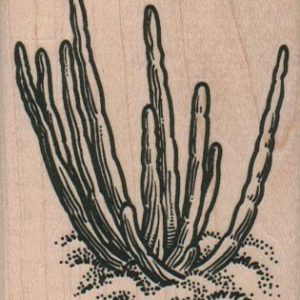 Cactus Clump 2 1/4 x 2 3/4-0