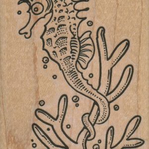 SeaHorse on Coral 2 1/4 x 3 1/4-0