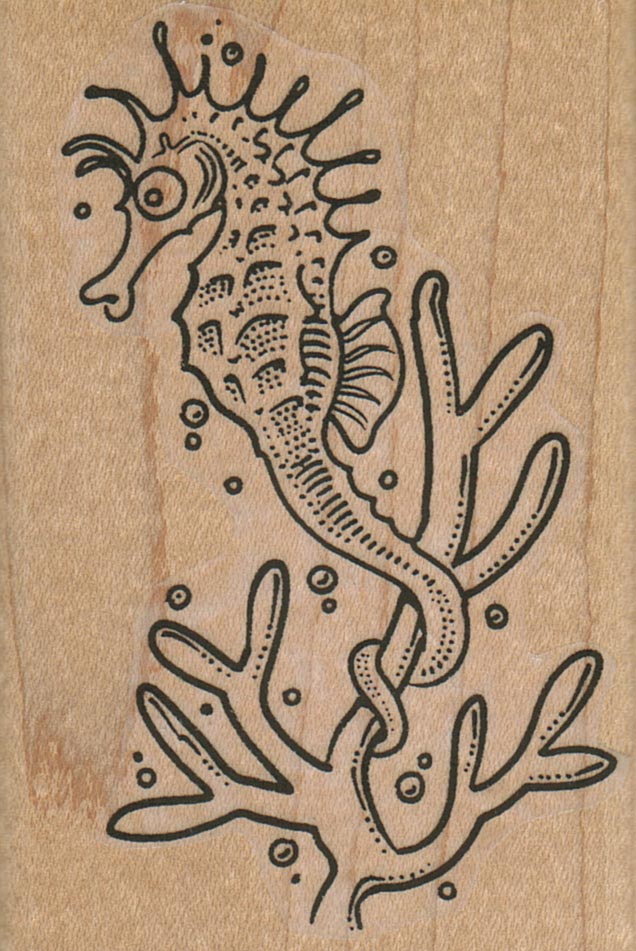 SeaHorse on Coral 2 1/4 x 3 1/4