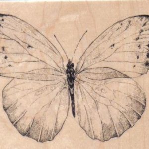 Butterfly Gossamer/Large 4 1/4 X 3 1/2-0