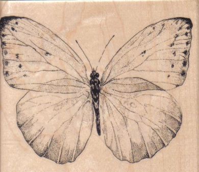 Butterfly Gossamer/Large 4 1/4 X 3 1/2