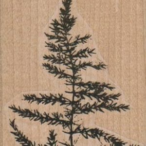 Scraggy Fir Branch 2 1/4 x 3 1/4-0