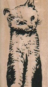 Cat Inquisitive/Small 1 1/4 x 2 1/2-0