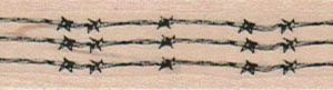 Barb Wire Fence 3/4 x 3 1/2-0