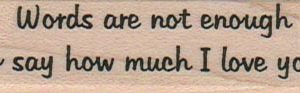 Words Are Not Enough 3/4 x 2 1/2-0