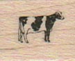 Cow With Spots 3/4 x 3/4