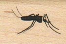 Mosquito 3/4 x 1