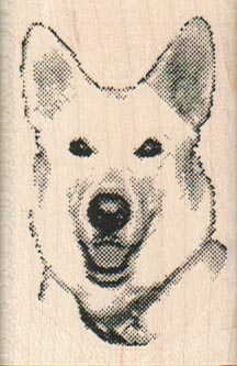Husky/Siberian Dog 1 1/2 x 2 1/4
