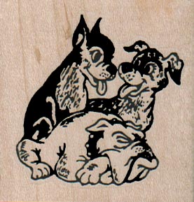 BullDog, Boston Terrier And Terrier 2 x 2