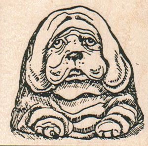 Sad Dog BloodHound 2 1/4 x 2-0