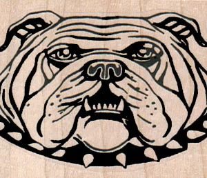 BullDog With Spike Collar 2 3/4 x 1 3/4-0