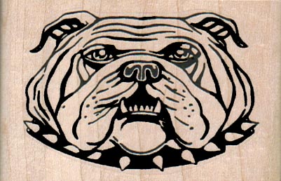 BullDog With Spike Collar 2 3/4 x 1 3/4