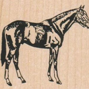 Horse Side View 2 3/4 x 2 1/4-0