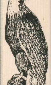 Eagle 1 3/4 x 3 3/4-0