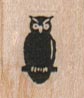 Owl On Branch 3/4 x 3/4