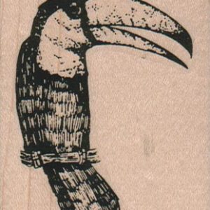Toucan 2 1/4 x 2 1/2-0