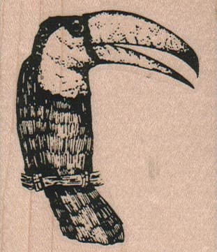 Toucan 2 1/4 x 2 1/2