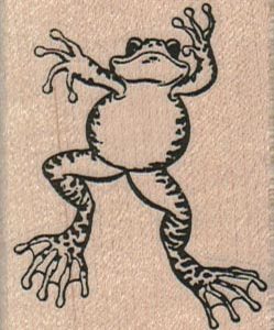 Frog Climbing 1 3/4 x 2 1/4-0