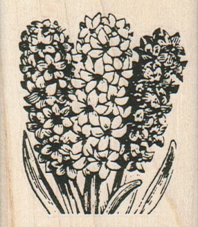 Hyacinth And Leaves 2 x 2 1/4