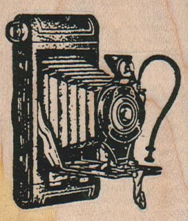 Bellows Camera 2 x 2 1/4