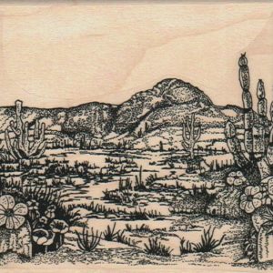 Desert Cactus Scene 3 3/4 x 5-0