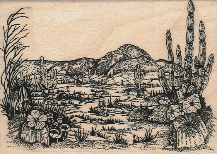 Desert Cactus Scene 3 3/4 x 5