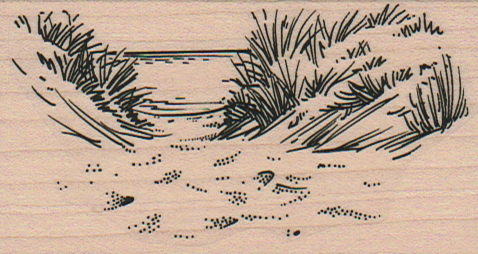 Sand Dunes By Ocean 2 x 3 1/4