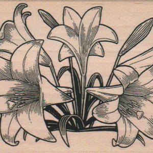 Easter Lilies 3 1/4 x 4 1/2-0