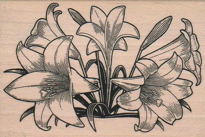 Easter Lilies 3 1/4 x 4 1/2
