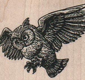 Flying Owl 2 1/2 x 2-0