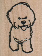 Bichon Front 1 1/4 x 1 1/2