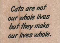 Cats Are Not Our Whole Lives 1 1/2 x 1