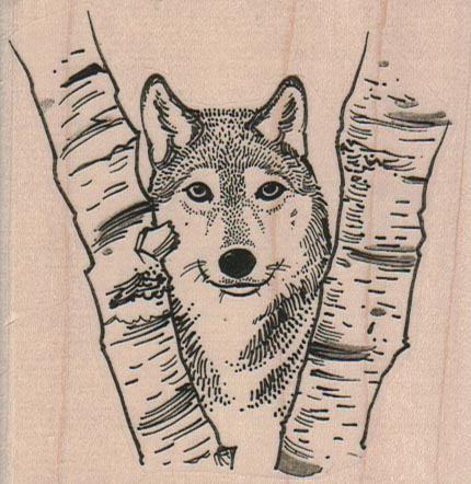 Wolf In Trees 3 x 3