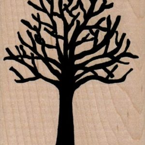 Naked Tree/Large 2 1/2 x 3-0