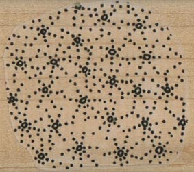 Background Dots And Circles 1 3/4 x 2