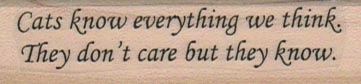Cats Know Everything 3/4 x 2 1/2