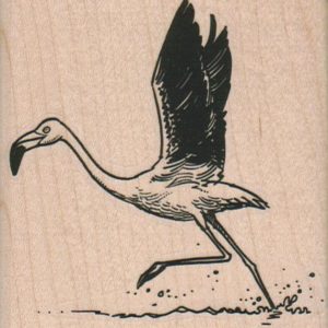 Flamingo Taking Off 3 x 3 1/4-0