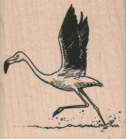 Flamingo Taking Off 3 x 3 1/4