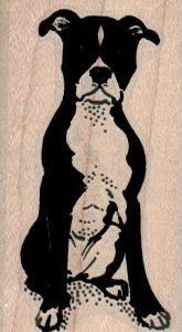 Boston Terrier Sitting 1 1/4 x 2 1/4-0