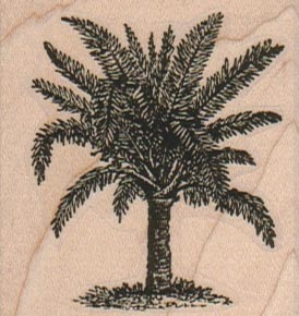 Palm Tree 2 x 2