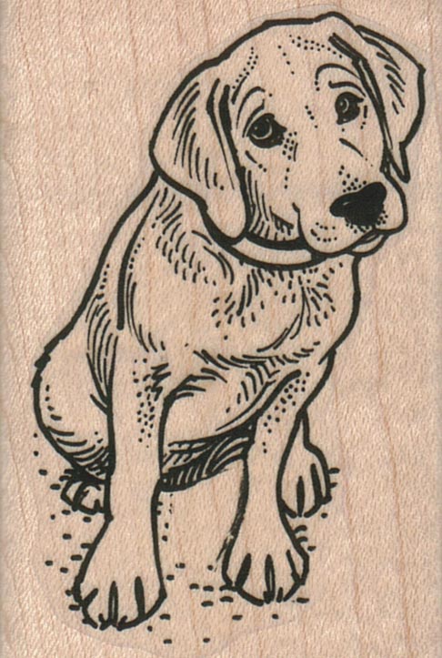 Dog With Head Cocked 1 3/4 x 2 1/2