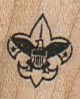 Boy Scout Logo 3/4 x 3/4-0