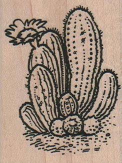 Cactus Blooming 1 3/4 x 2 1/4