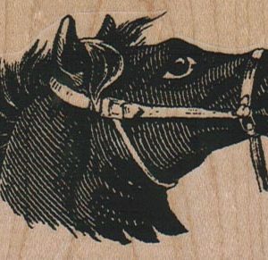 Horse's Head 3 x 2-0