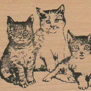 Kitty Trio 2 1/2 x 3 1/2-0