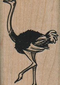 Ostrich Walking 1 1/2 x 2 1/4-0