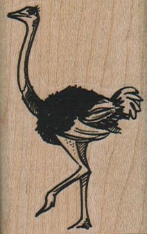 Ostrich Walking 1 1/2 x 2 1/4